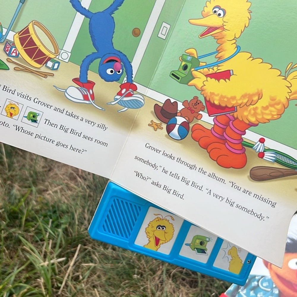 Sesame Street Big Bird and Ernie Sound Books - Picture 2 of 3